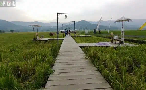 pronosutan-view-1